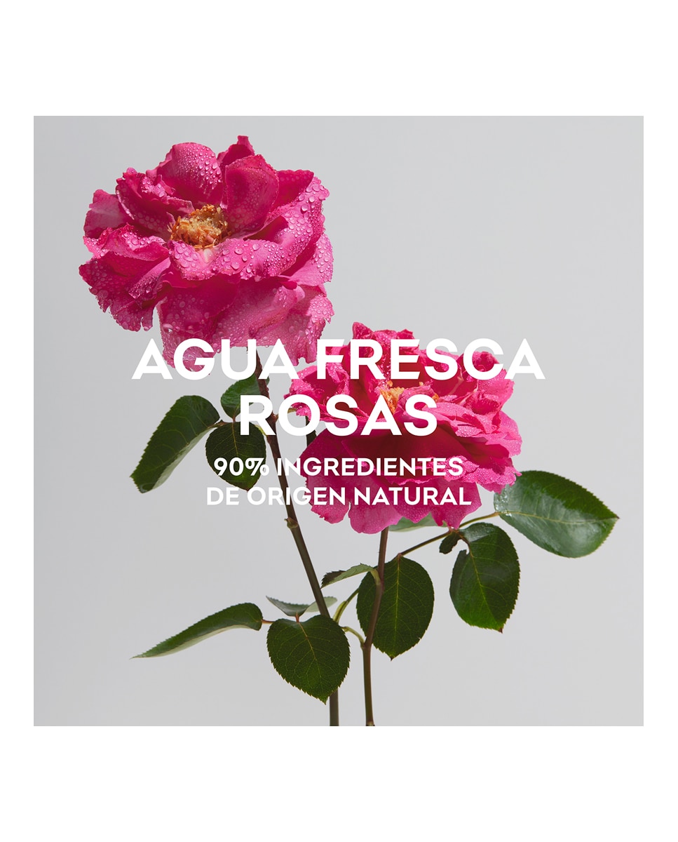 Imagen 3 de Eau de Toilette Agua Fresca de Rosas Adolfo Domínguez - 60 ml