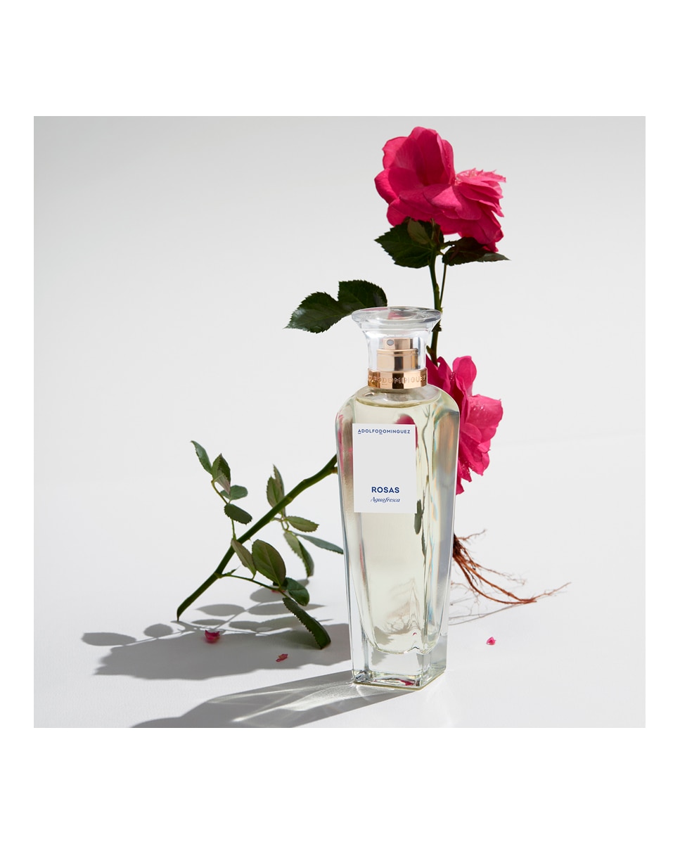 Imagen 6 de Eau de Toilette Agua Fresca de Rosas Adolfo Domínguez - 60 ml