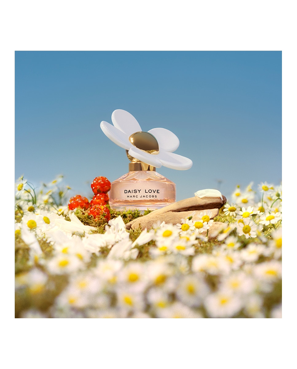 Eau de Toilette Daisy Love Marc Jacobs - 50 ml 4