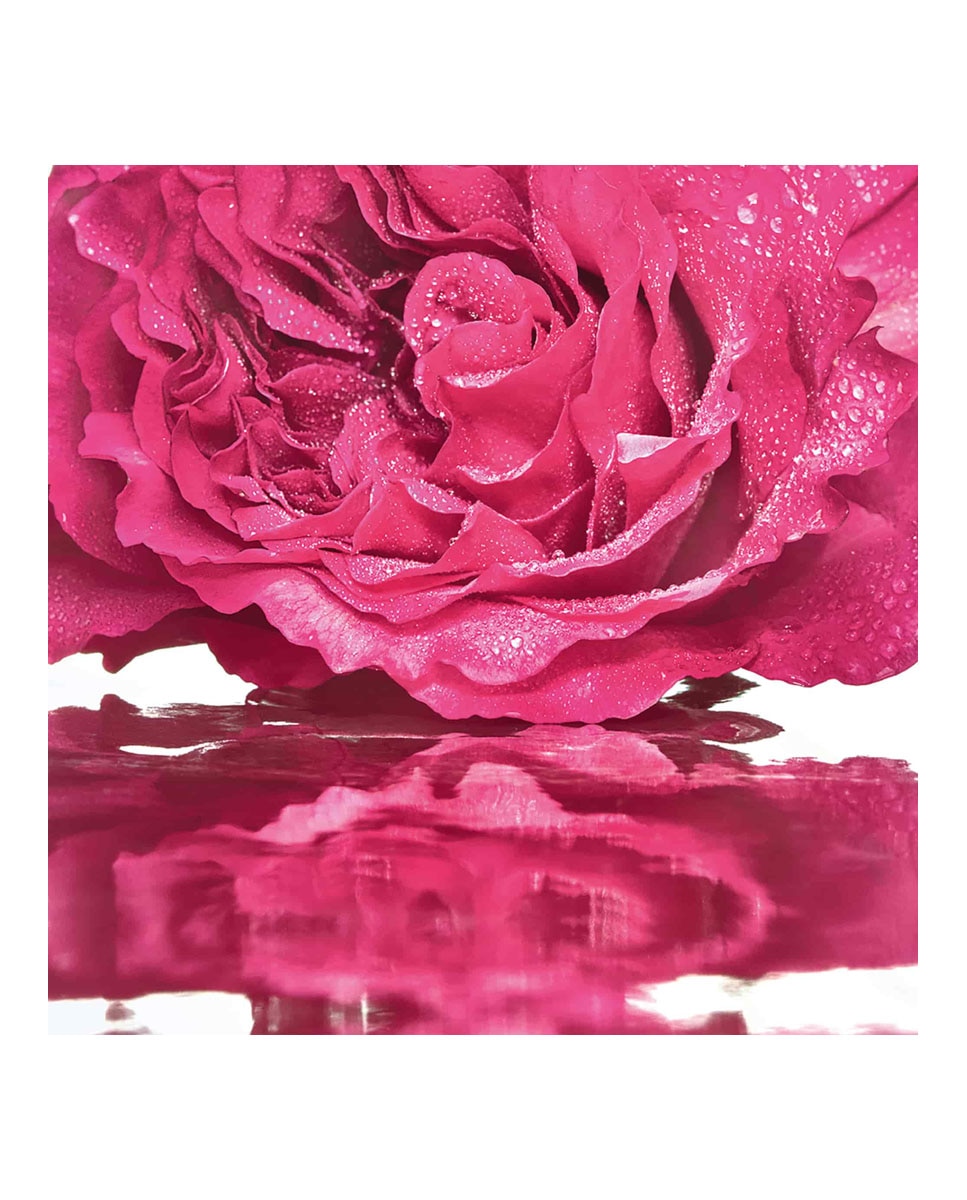 Eau de Toilette Mon Guerlain Bloom of Rose Guerlain - 30 ml 2
