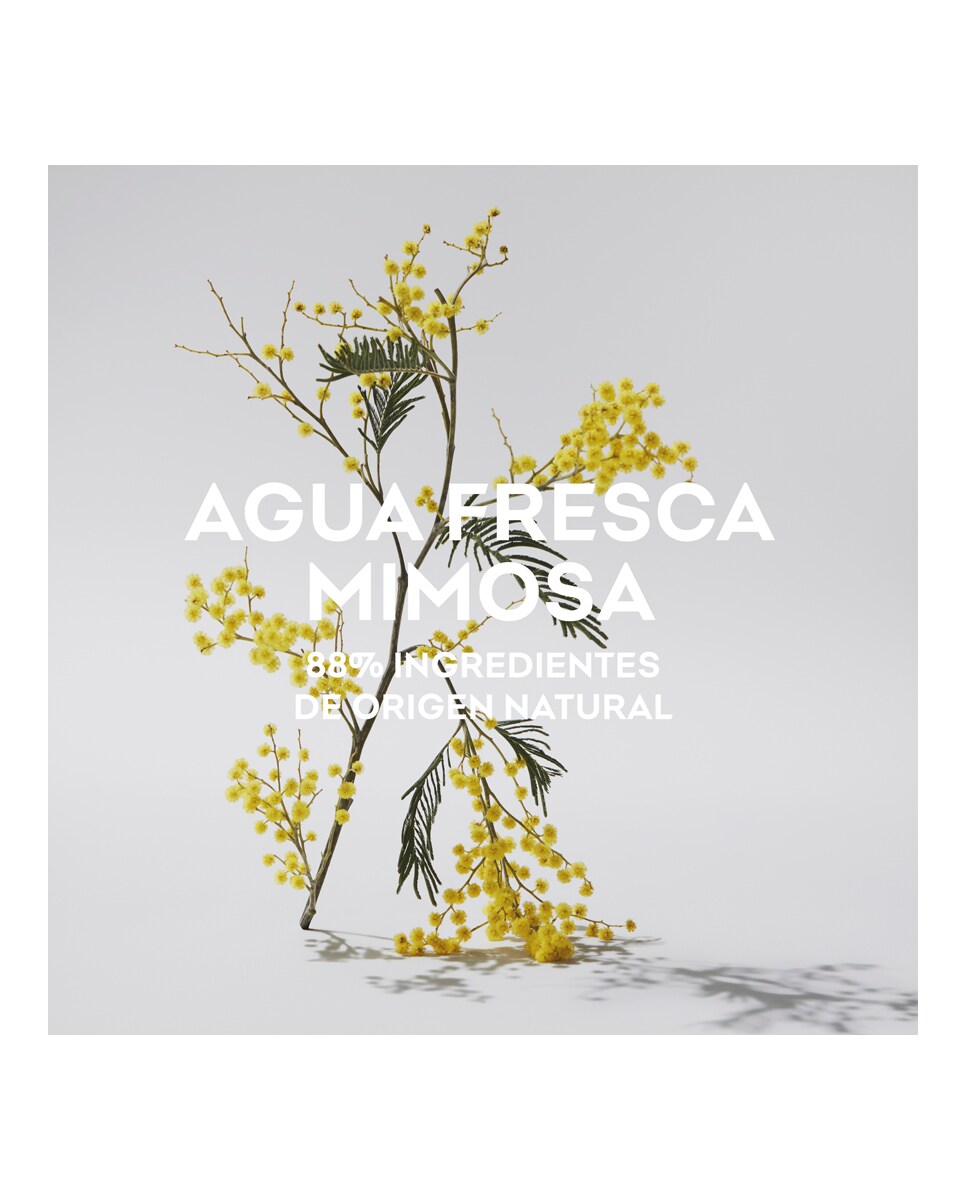 Eau de Toilette Agua Fresca Mimosa Coriandro 120 ml Adolfo