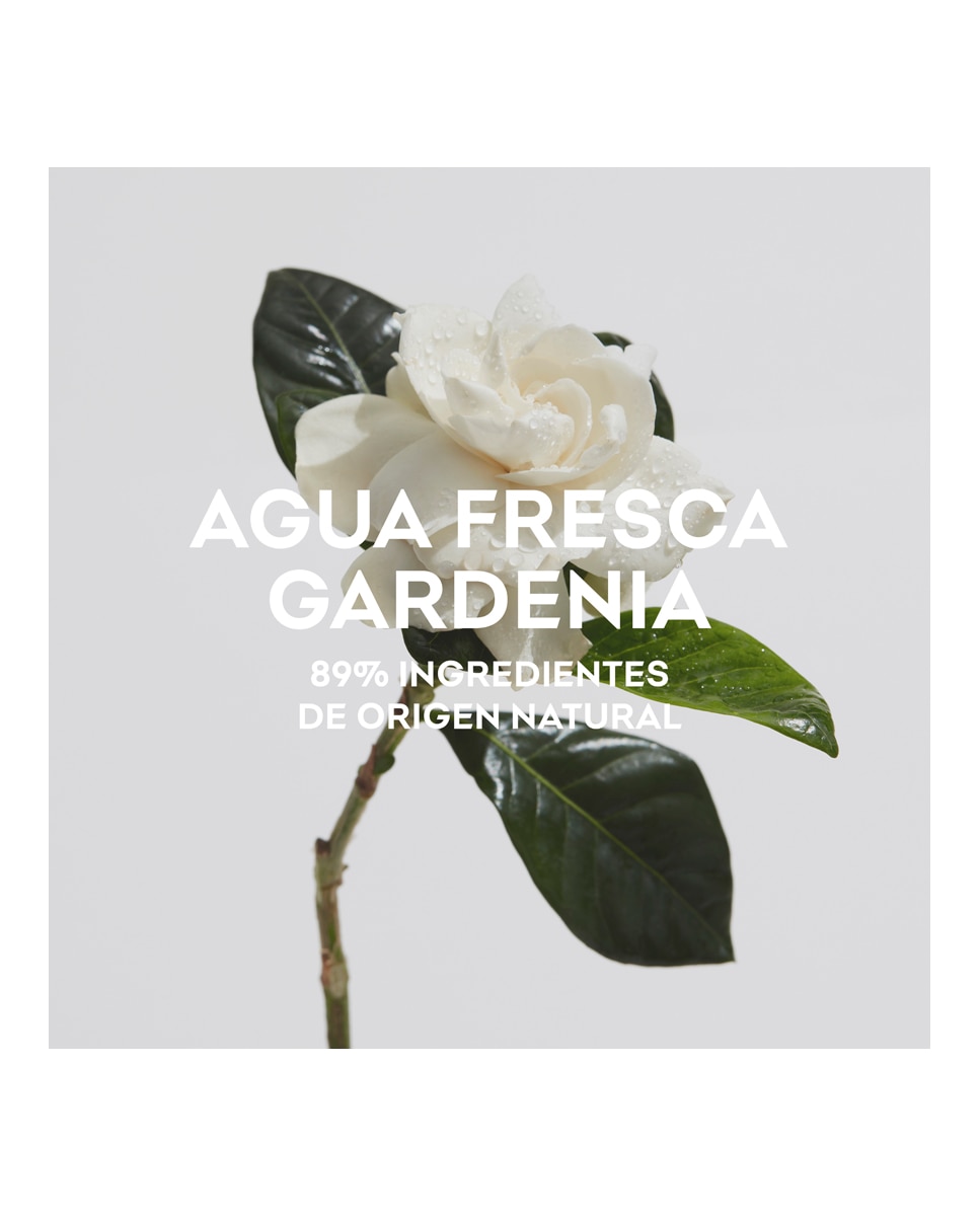 Eau de Toilette Agua Fresca Gardenia Musk 120 ml Adolfo Dominguez - 120 ml 3