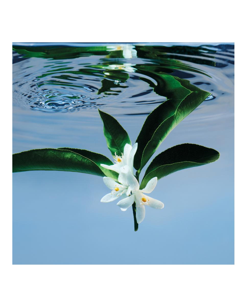 Eau de Toilette Gucci Bloom Gucci - 100 ml 4