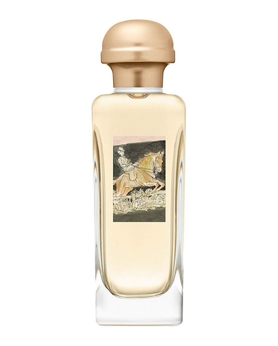 Eau de Toilette Amazone Spray 100 ml Hermès - 100 ml 2