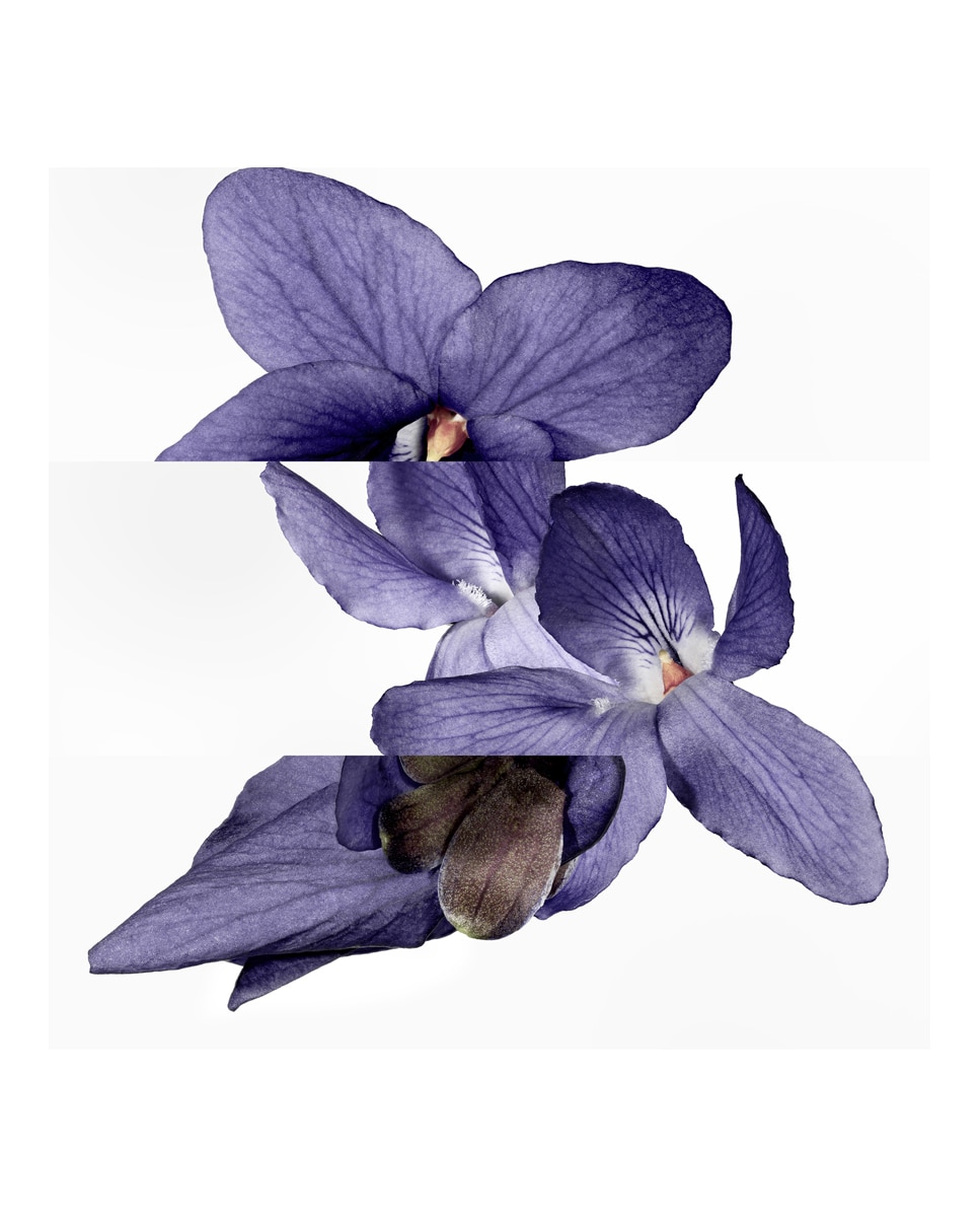 Eau de Parfum Violette Volynka Hermès · Hermès · El Corte Inglés