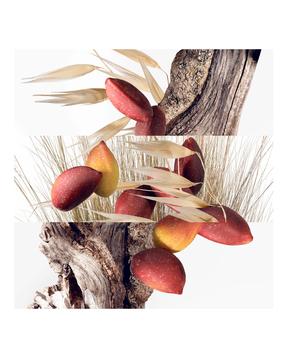 Eau de Toilette Un Jardinà Cythère Hermès - 30 ml 3
