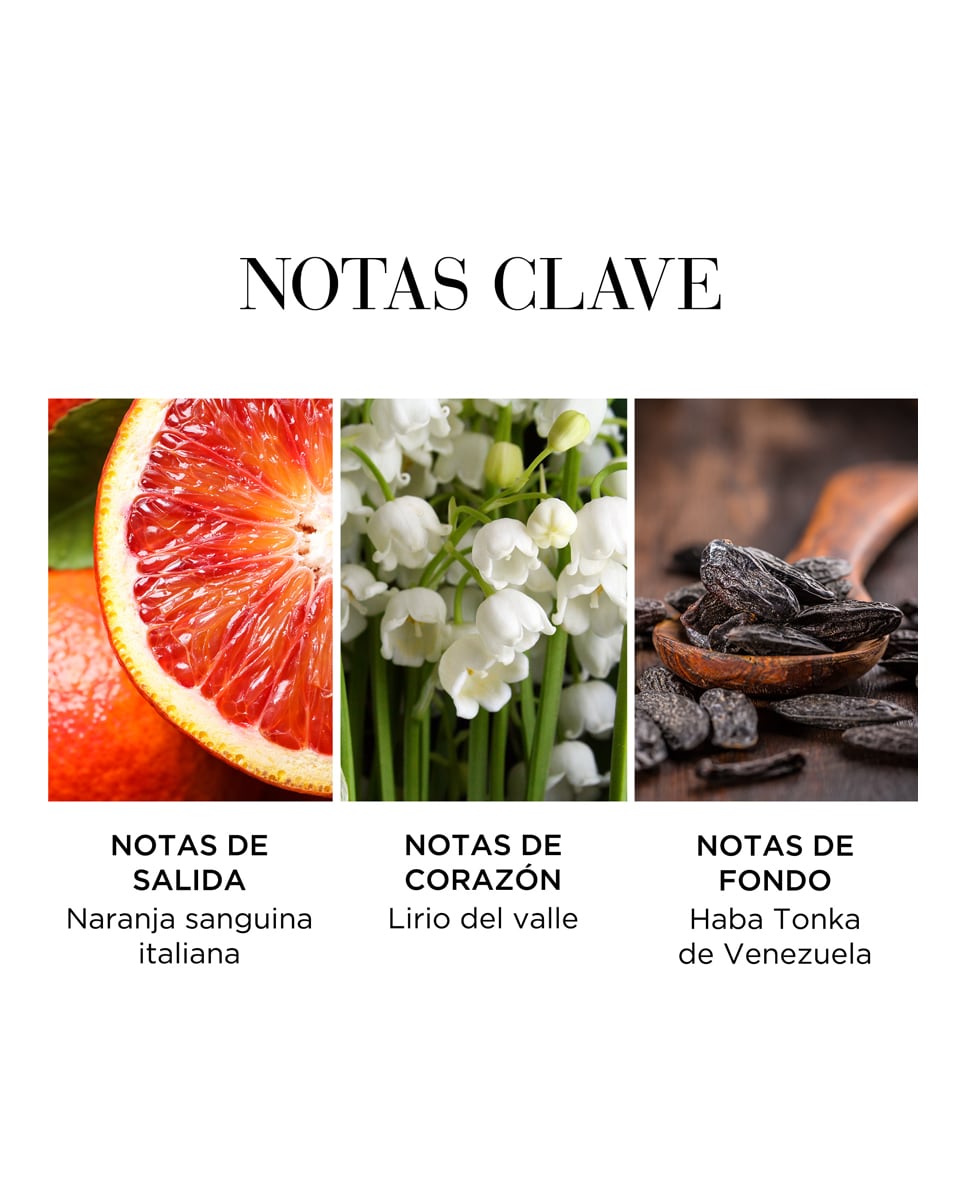 Eau de Toilette White Tea Eau Fraiche 100 ml Elizabeth Arden 8