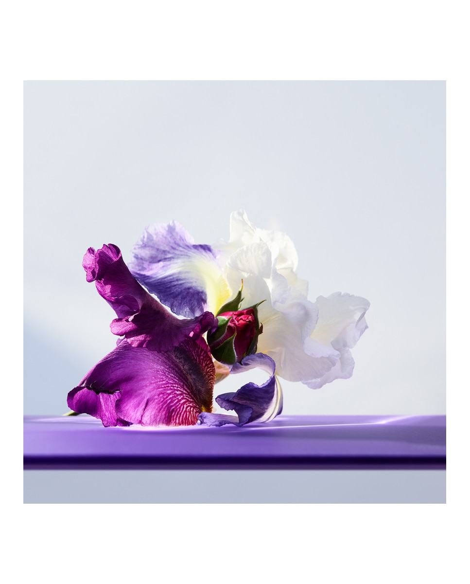 Eau de Toilette Omnia Amethyste Bulgari - 30 ml 4