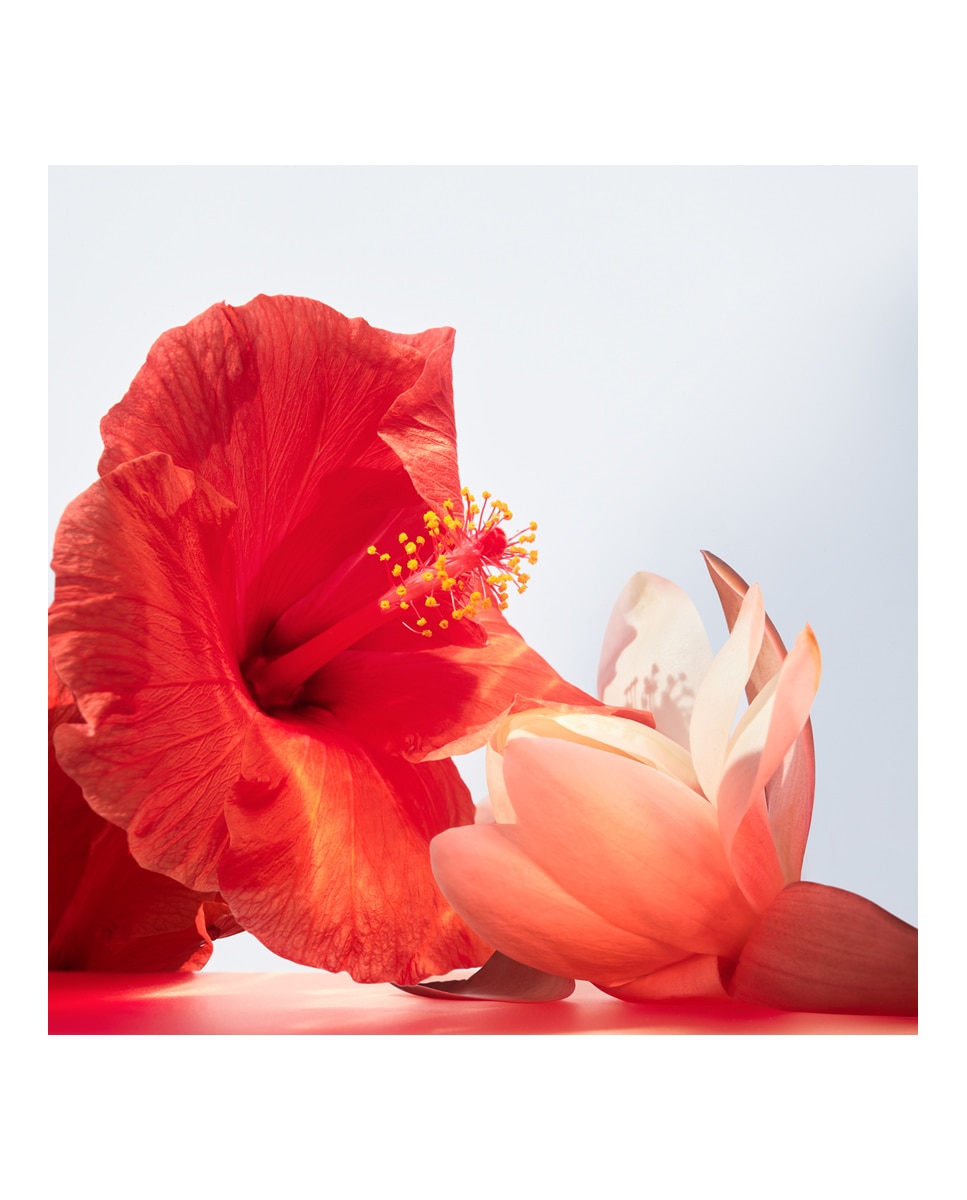 Eau de Toilette Omnia Coral Bulgari - 100 ml 5