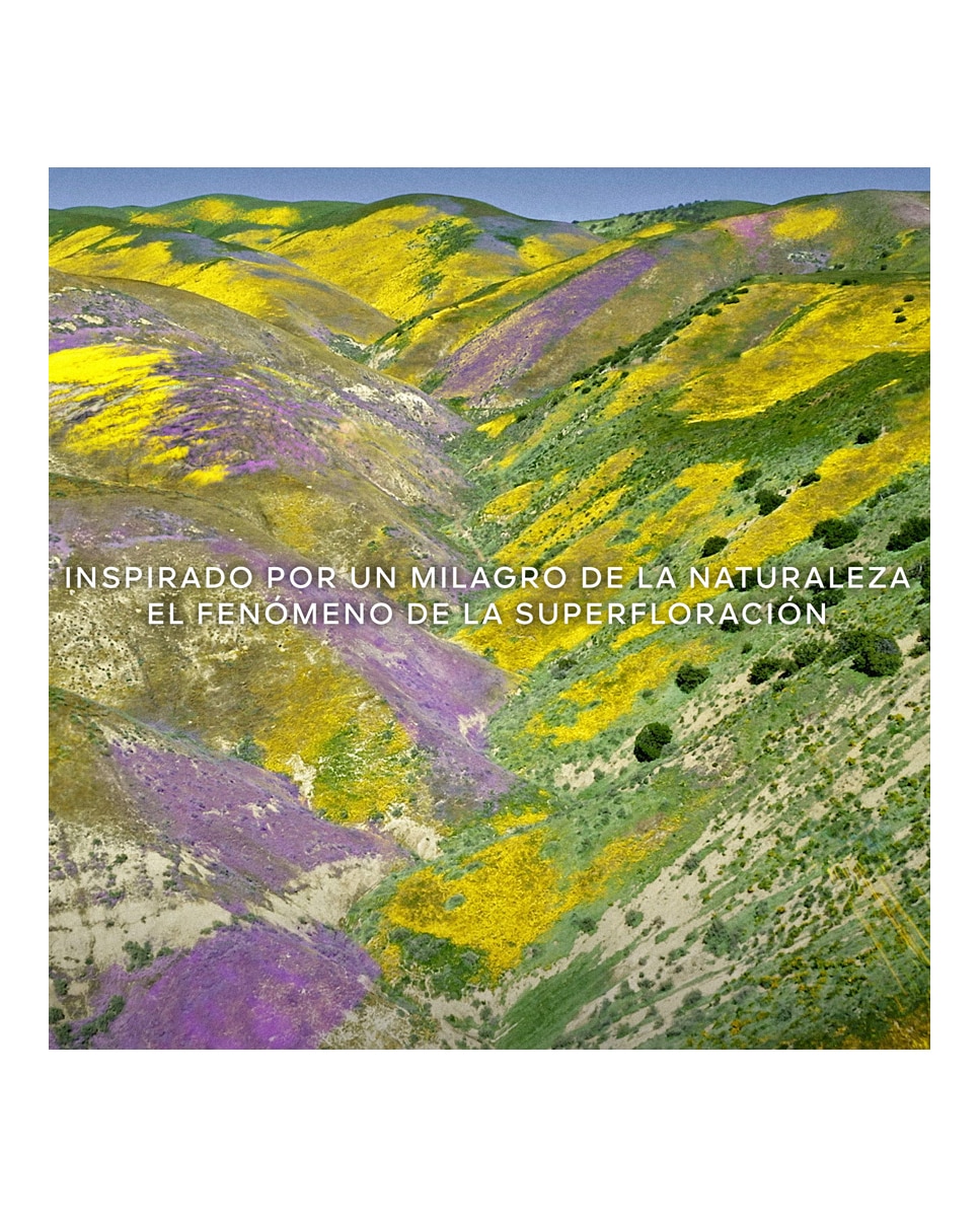 Thumbnail 3 de Guerlain Eau de Toilette Aqua Allegoria Florabloom 200 ml