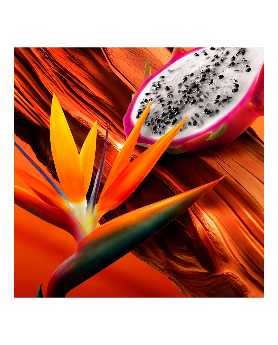 Eau De Toilette Escada Bali Paradise Escada - 100 ml 5