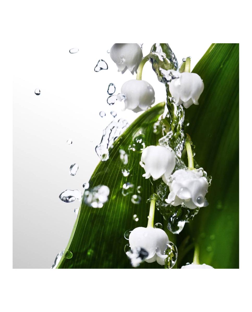 Eau De Toilette Dav Cww Edt Ns 100Ml Davidoff 5