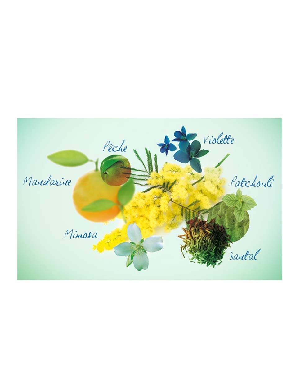Eau de Parfum Eden 50 ml Cacharel 4
