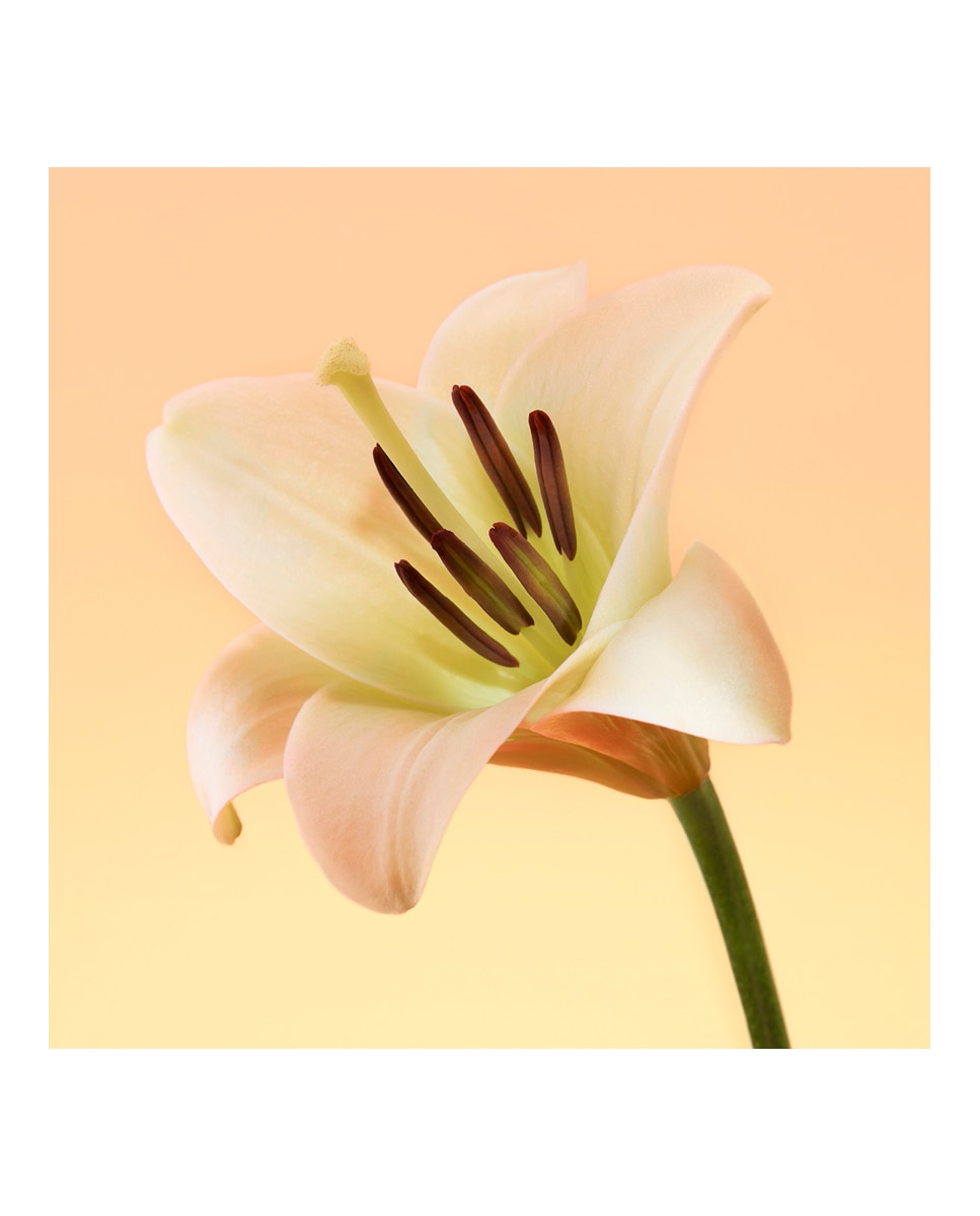 Thumbnail 5 de Calvin Klein Eternity perfume 100 ml