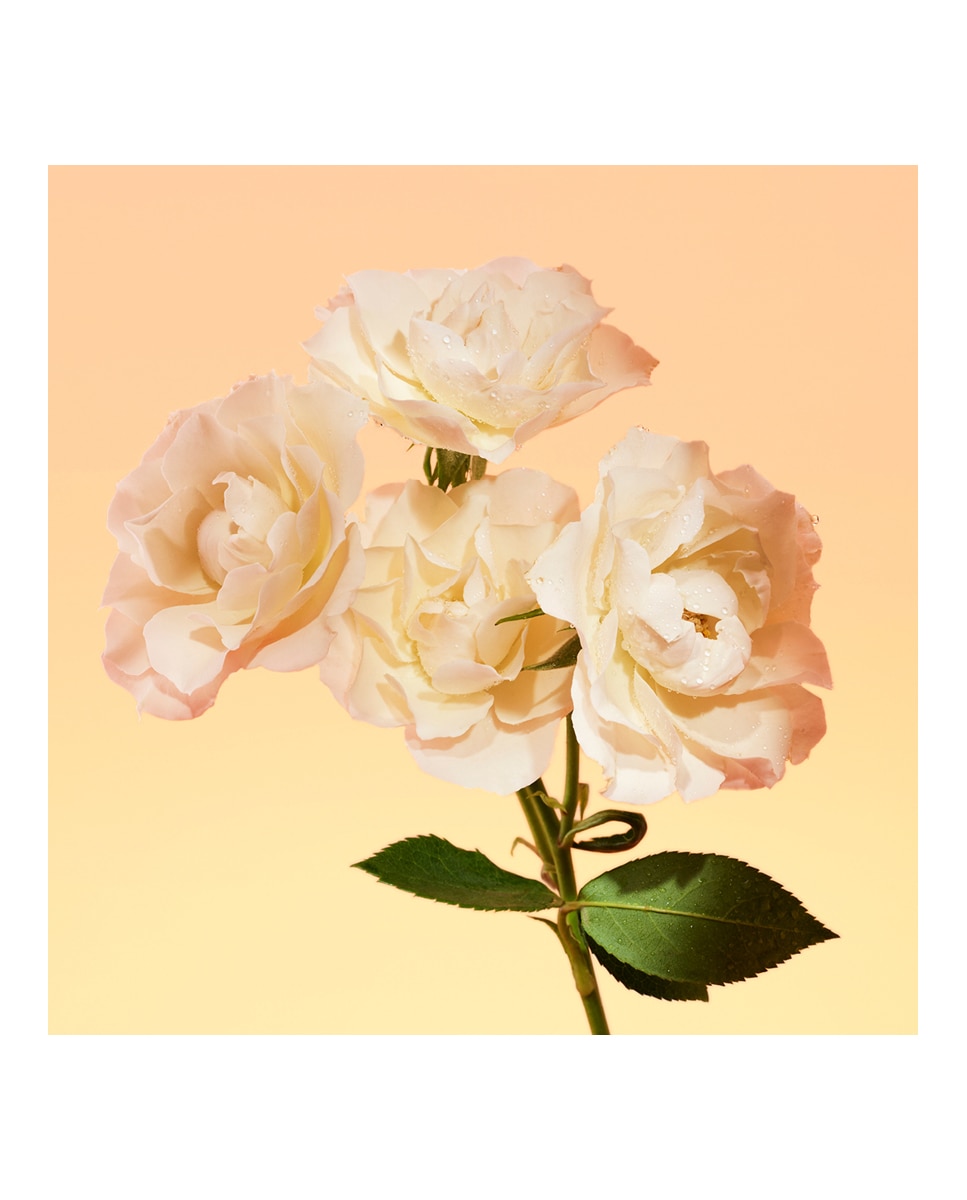 Thumbnail 6 de Calvin Klein Eternity perfume 100 ml