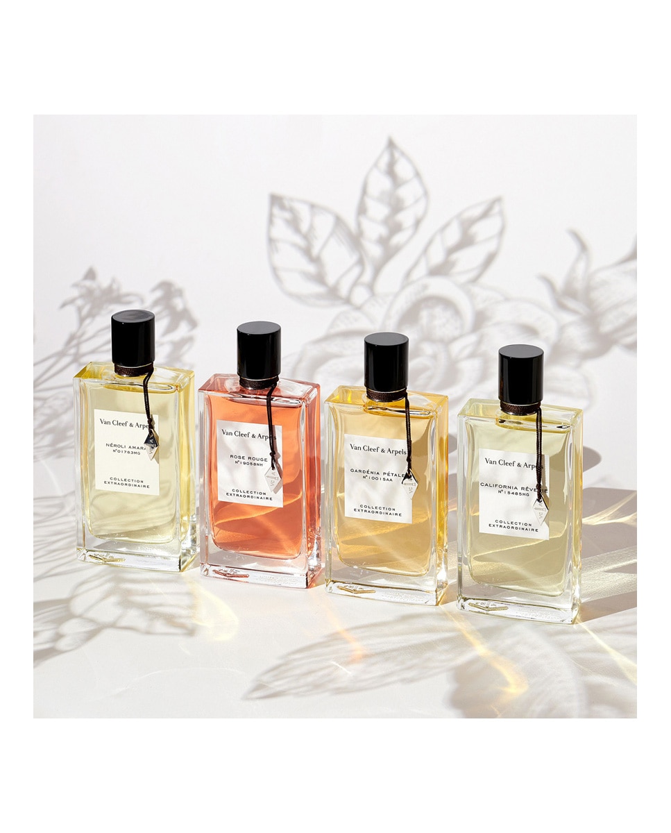 Eau de Parfum Collection Extraordinaire Gardénia Pétale 75 ml Van Cleef & Arpels - 75 ml 7