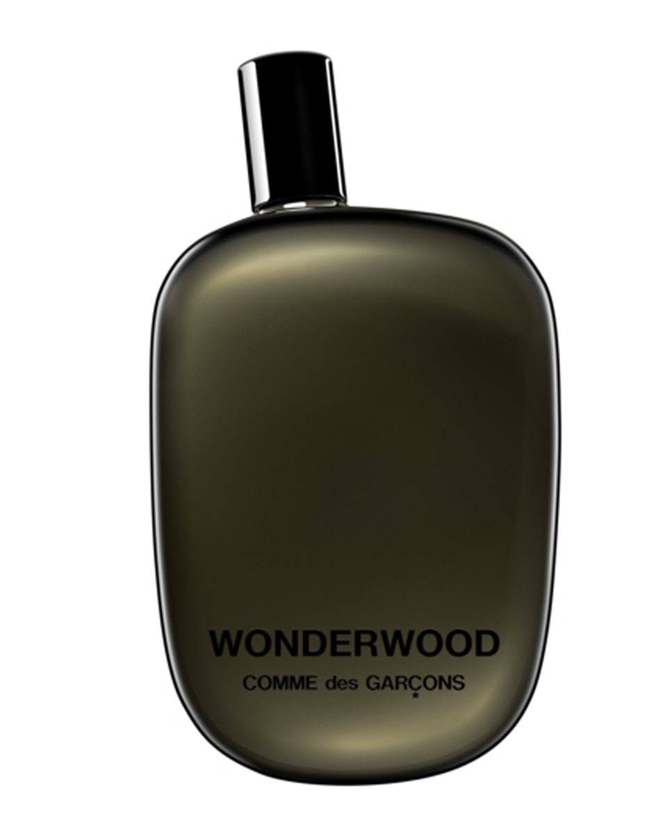 100ml GARÇONS des COMME WONDERWOOD Comme Skins - 100ml Parfum de Eau Wonderwood Garcons des 香水(ユニセックス)