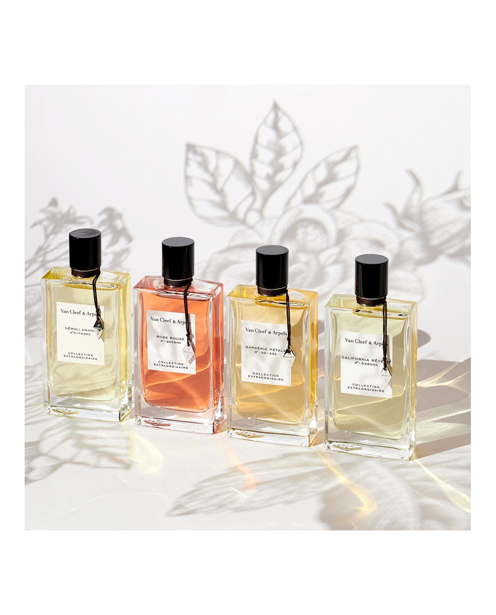Eau de Parfum Collection Extraordinaire California Revêire Van