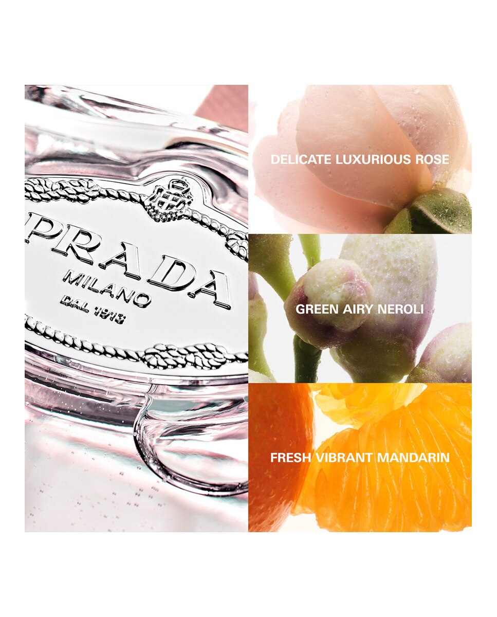 Imagen 5 de Eau de Parfum Infusion De Rose 100 ml Prada Beauty - 100 ml