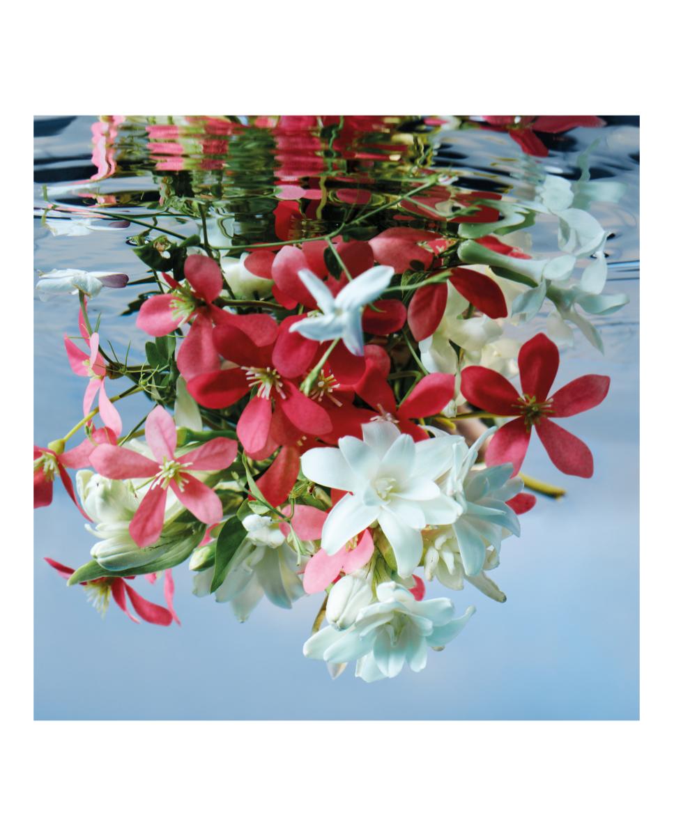 Imagen 4 de Eau de Parfum Gucci Bloom Gucci - 30 ml