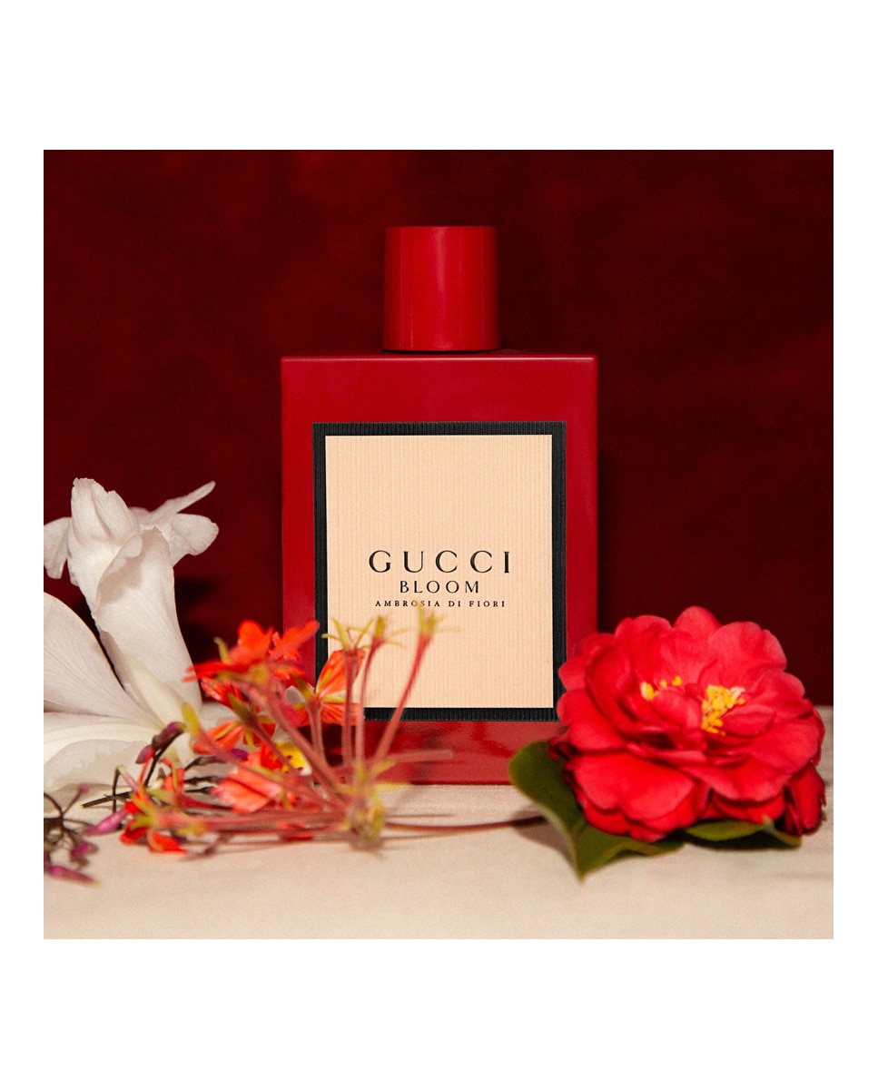 Eau de Parfum Gucci Bloom Ambrosia di Fiori Intense Gucci 50 ml