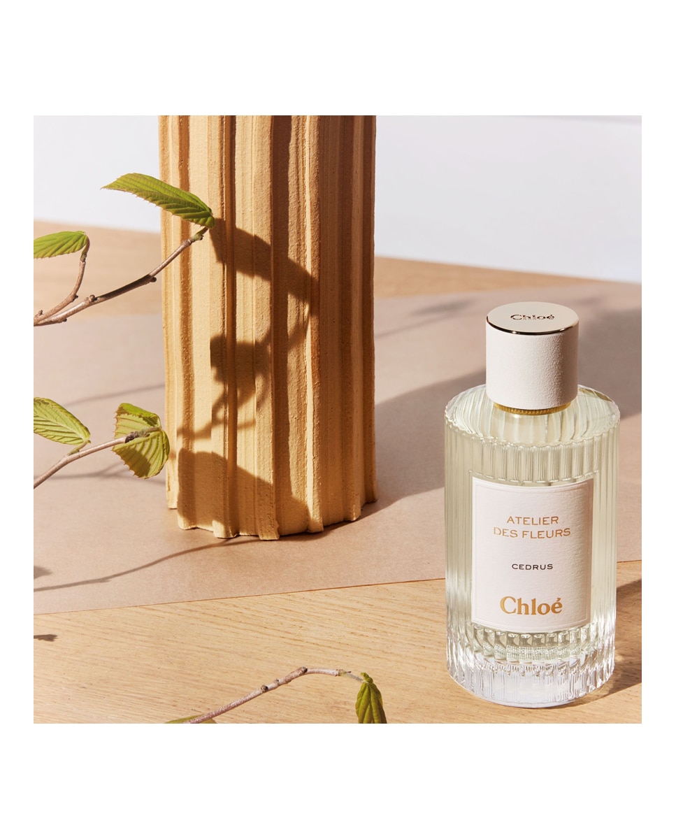 Eau de Parfum Atelier des Fleurs Cedrus Chloé 50 ml · El Corte Inglés