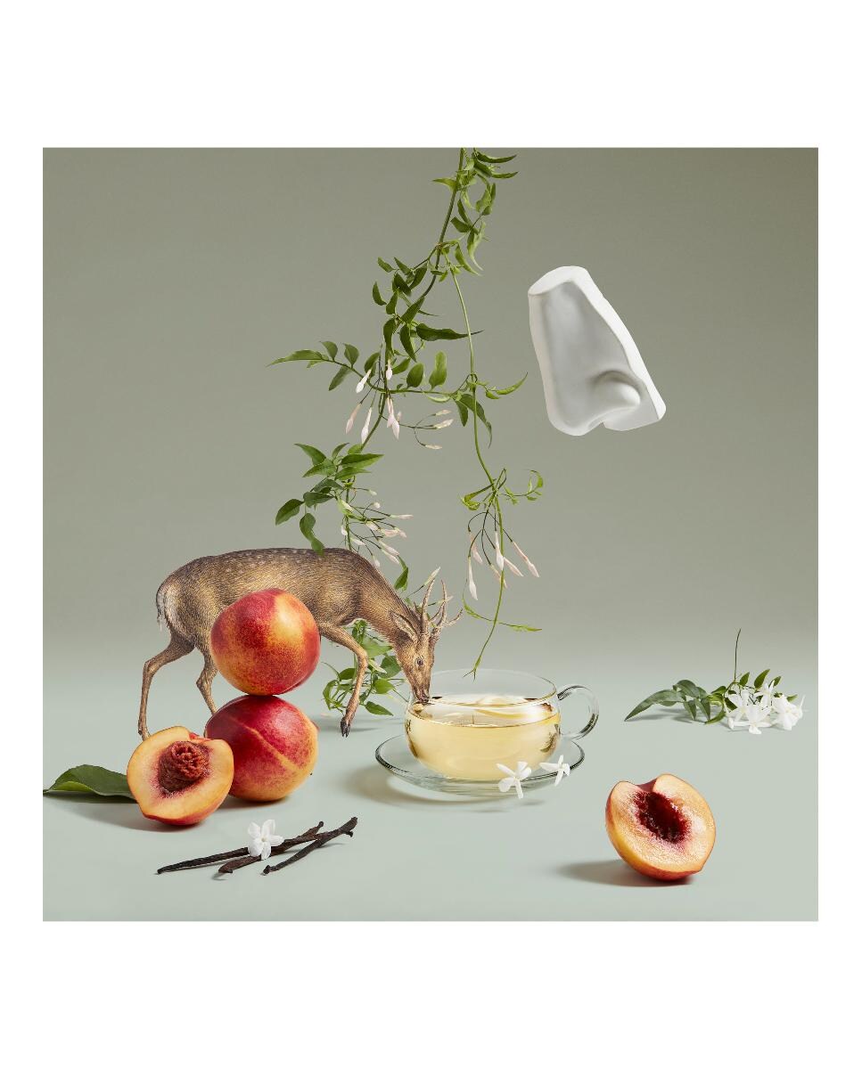 Eau de Parfum Artemisia 100 ml Penhaligon's 5