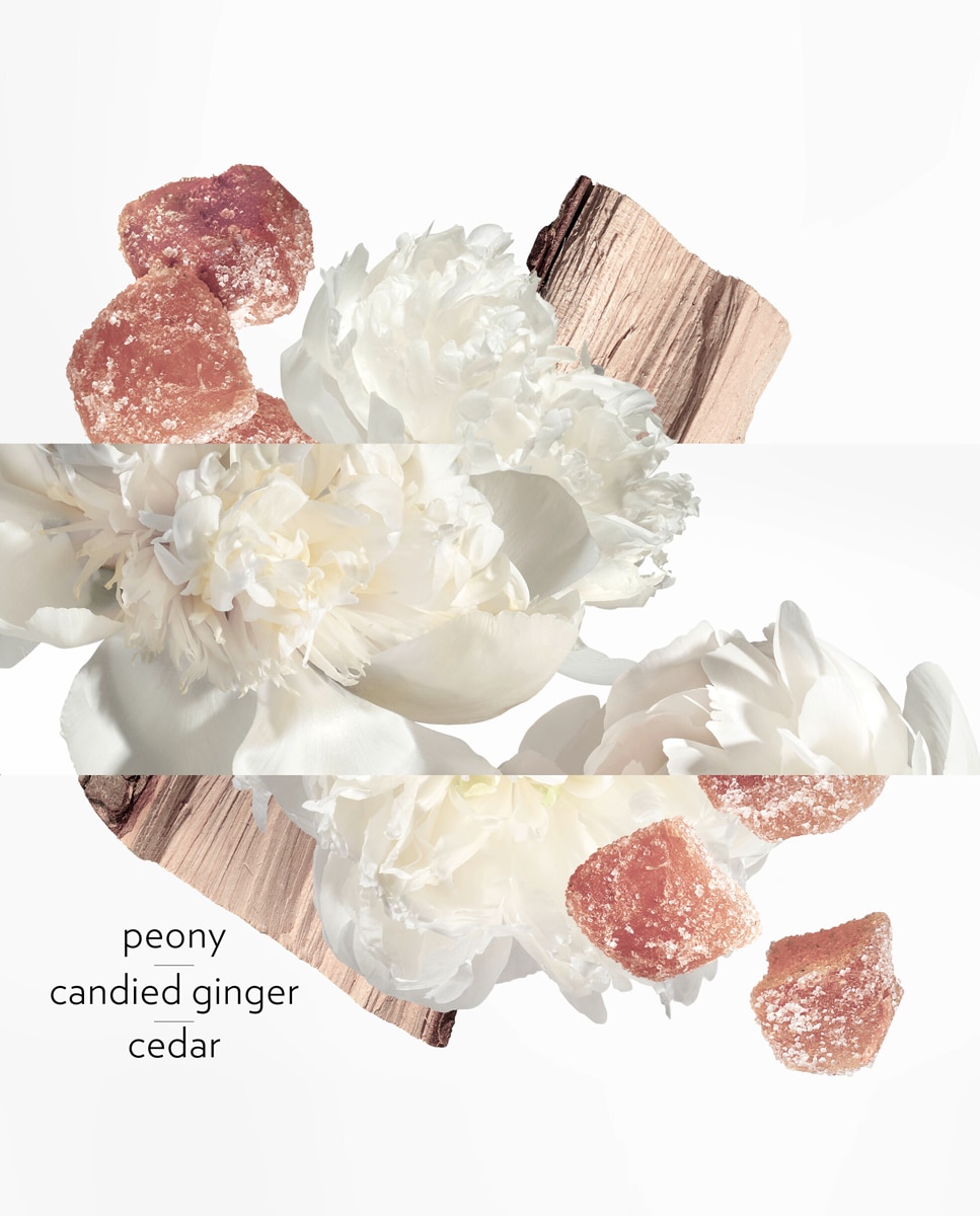 Eau de Parfum Twilly Eau Ginger Hermès - 30 ml 5