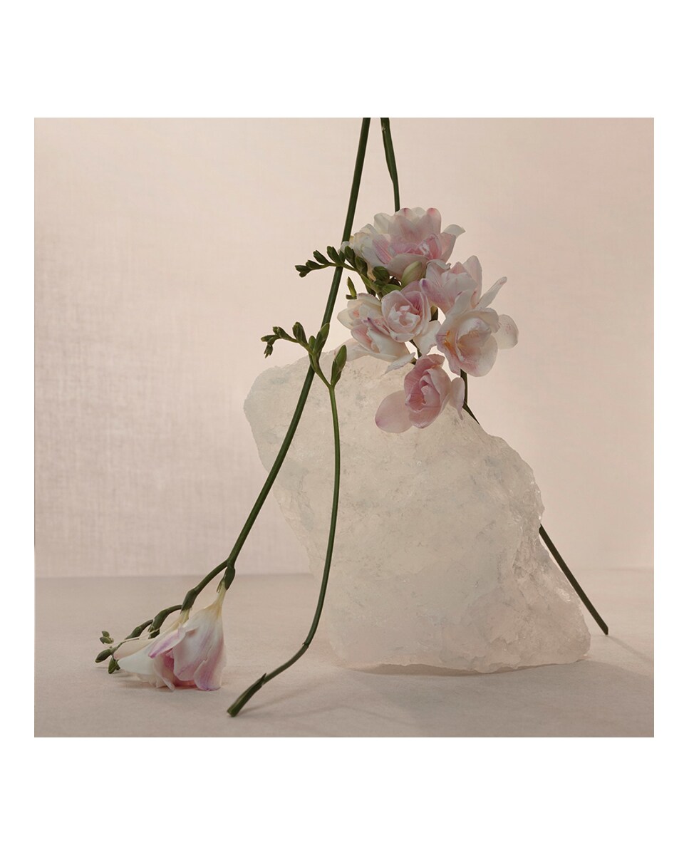 Eau de Parfum Nude Musk 120 ml Adolfo Dominguez 7