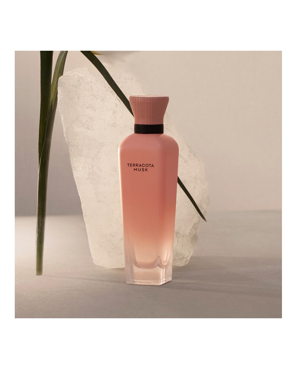 Eau de Parfum Terracota Musk Adolfo Dominguez - 60 ml 5