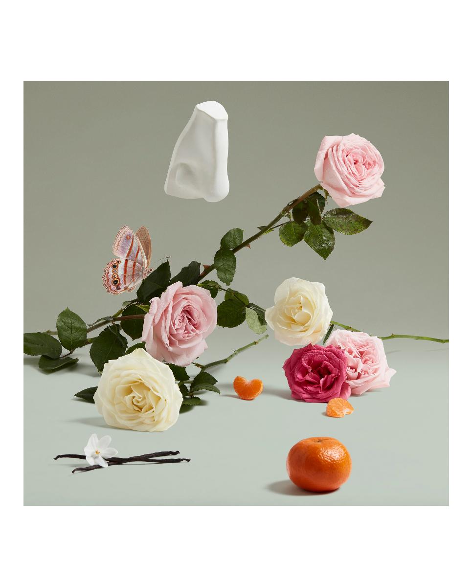 Eau de Parfum Portraits Duchess Rose Penhaligon's - 75 ml 5