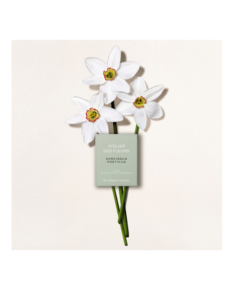 Eau de Parfum Atelier des Fleurs Narcissus Poeticus Chloé 50 ml