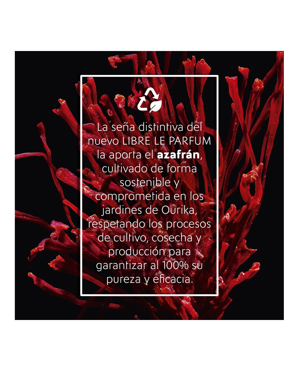 Eau de Parfum Libre Le Parfum Yves Saint Laurent - 30 ml 6