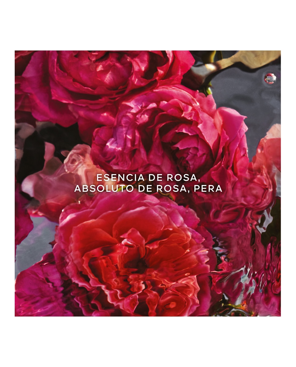 Eau de Parfum Aqua Allegoria Rosa Rossa Forte Recargable Guerlain - 75 ml 3