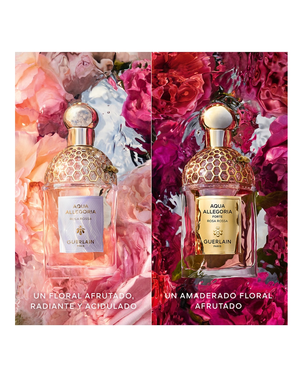 Eau de Parfum Aqua Allegoria Rosa Rossa Forte Recargable Guerlain - 75 ml 4