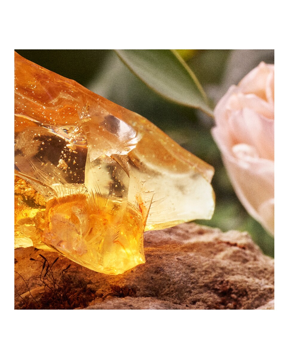 Recarga Eau de Parfum Signature 150 ml Chloé 6