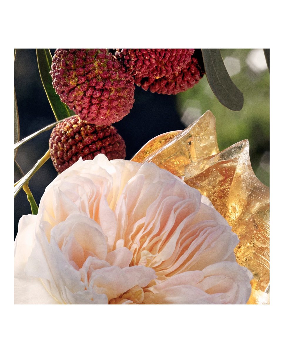 Recarga Eau de Parfum Signature 150 ml Chloé 8