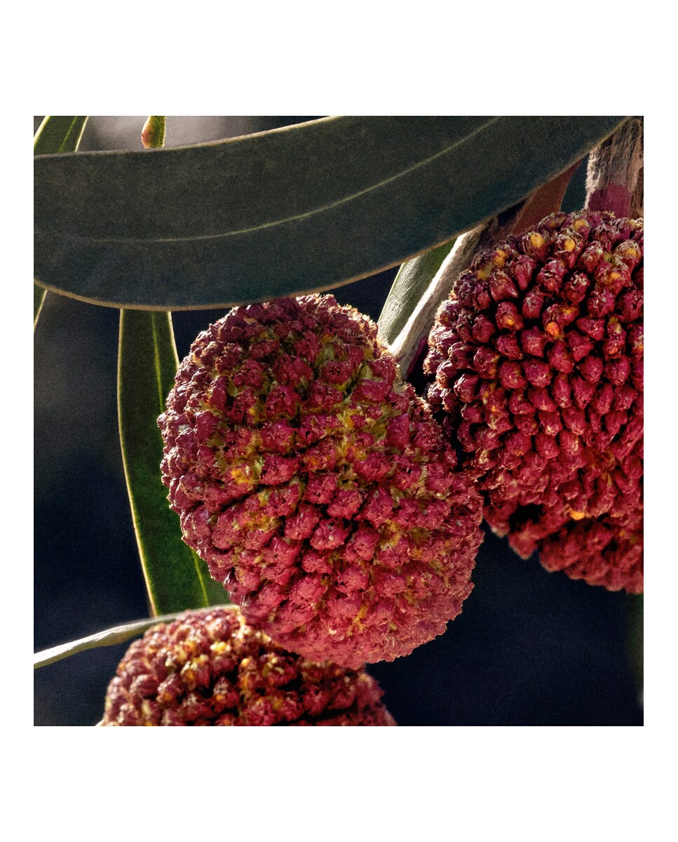 Recarga Eau de Parfum Signature 150 ml Chloé 9