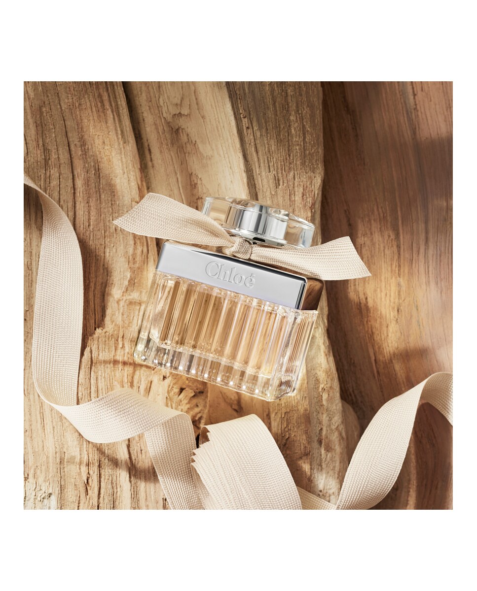 Recarga Eau de Parfum Signature 150 ml Chloé 11