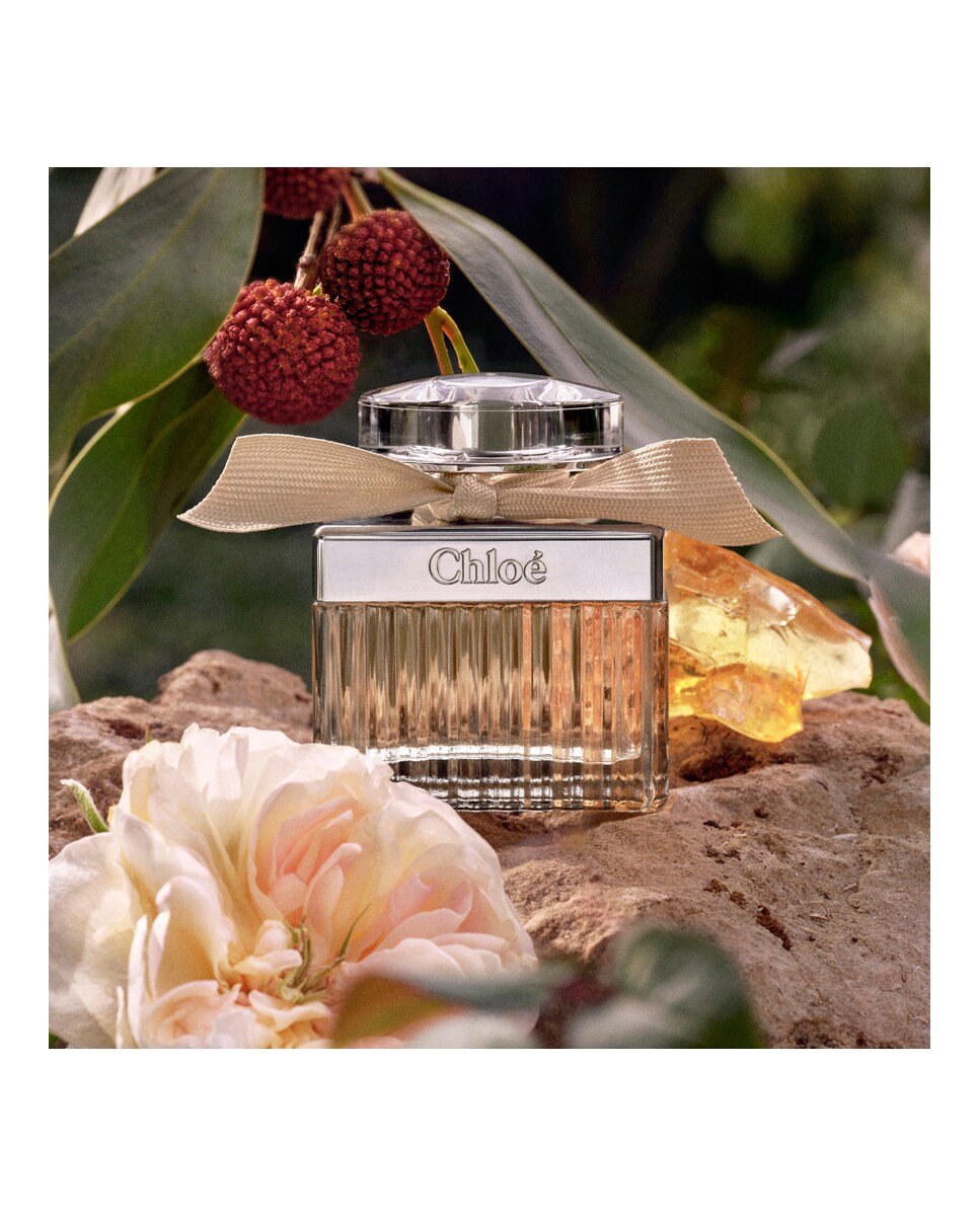 Recarga Eau de Parfum Signature 150 ml Chloé 13