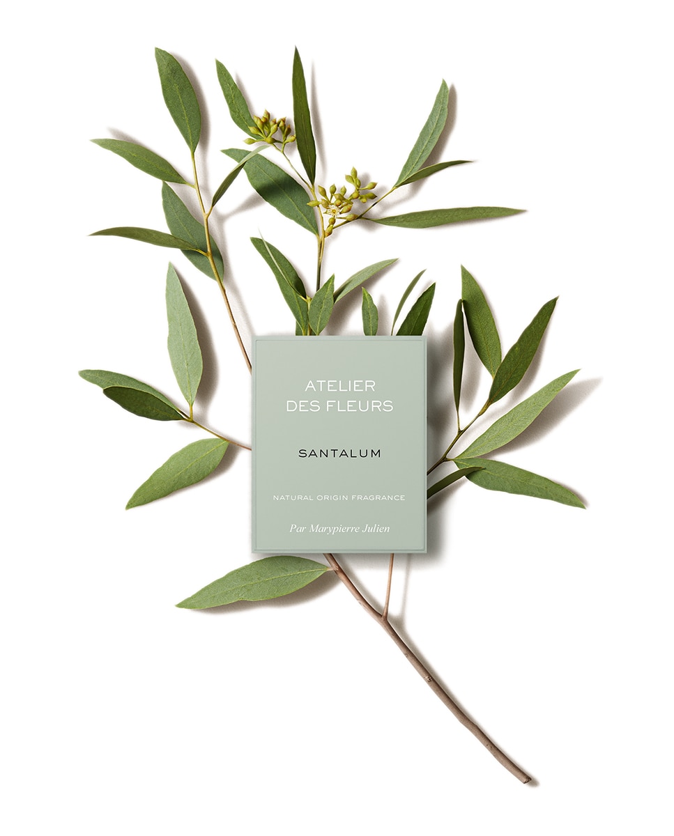 Eau de Parfum Atelier des fleurs Santalum Chloé - 50 ml 4