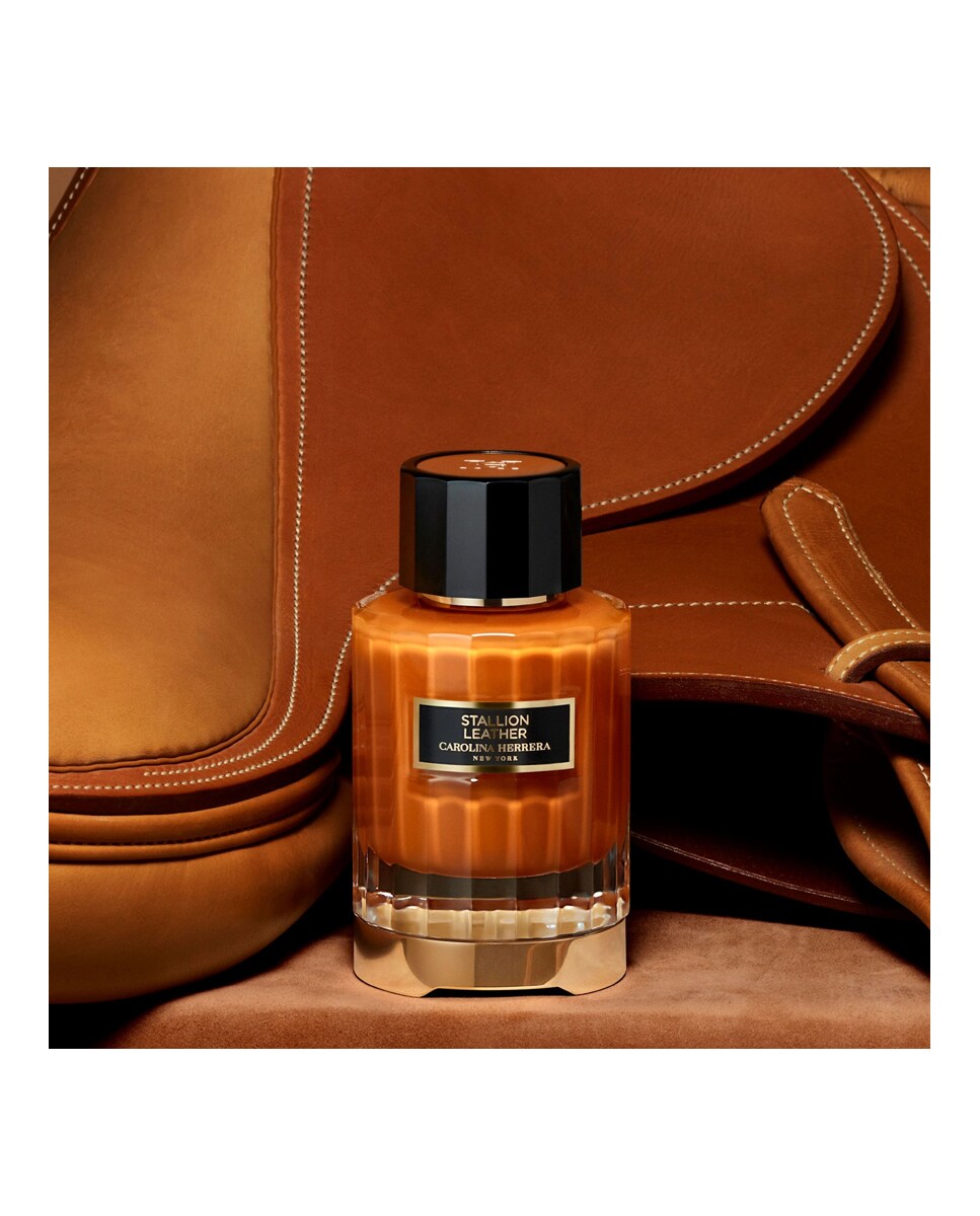 Ampaprincipesdeasturias Zapatos Carolina Herrera El Corte InglÃ©s