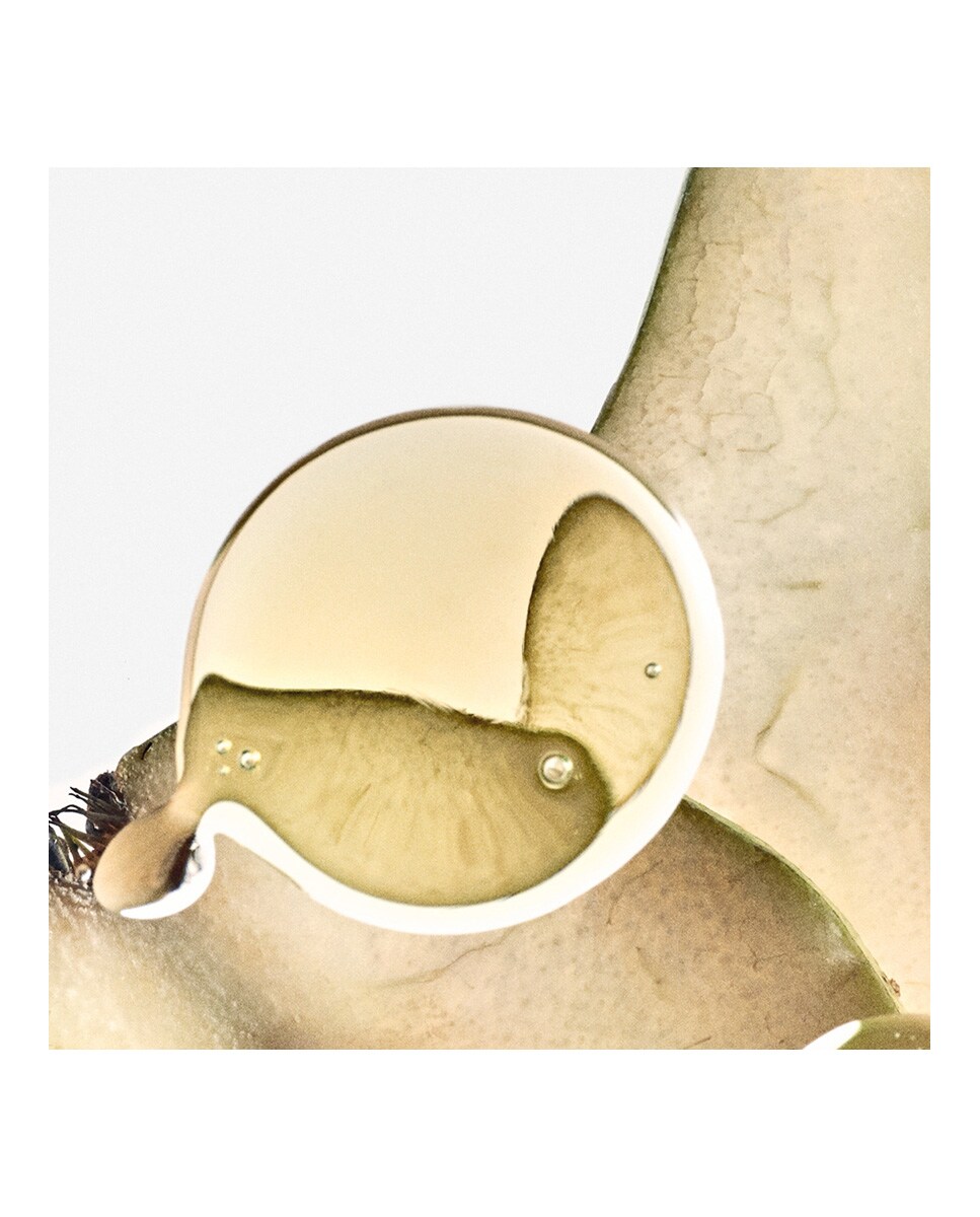 Eau de Parfum Solo Ella Elixir Loewe 3