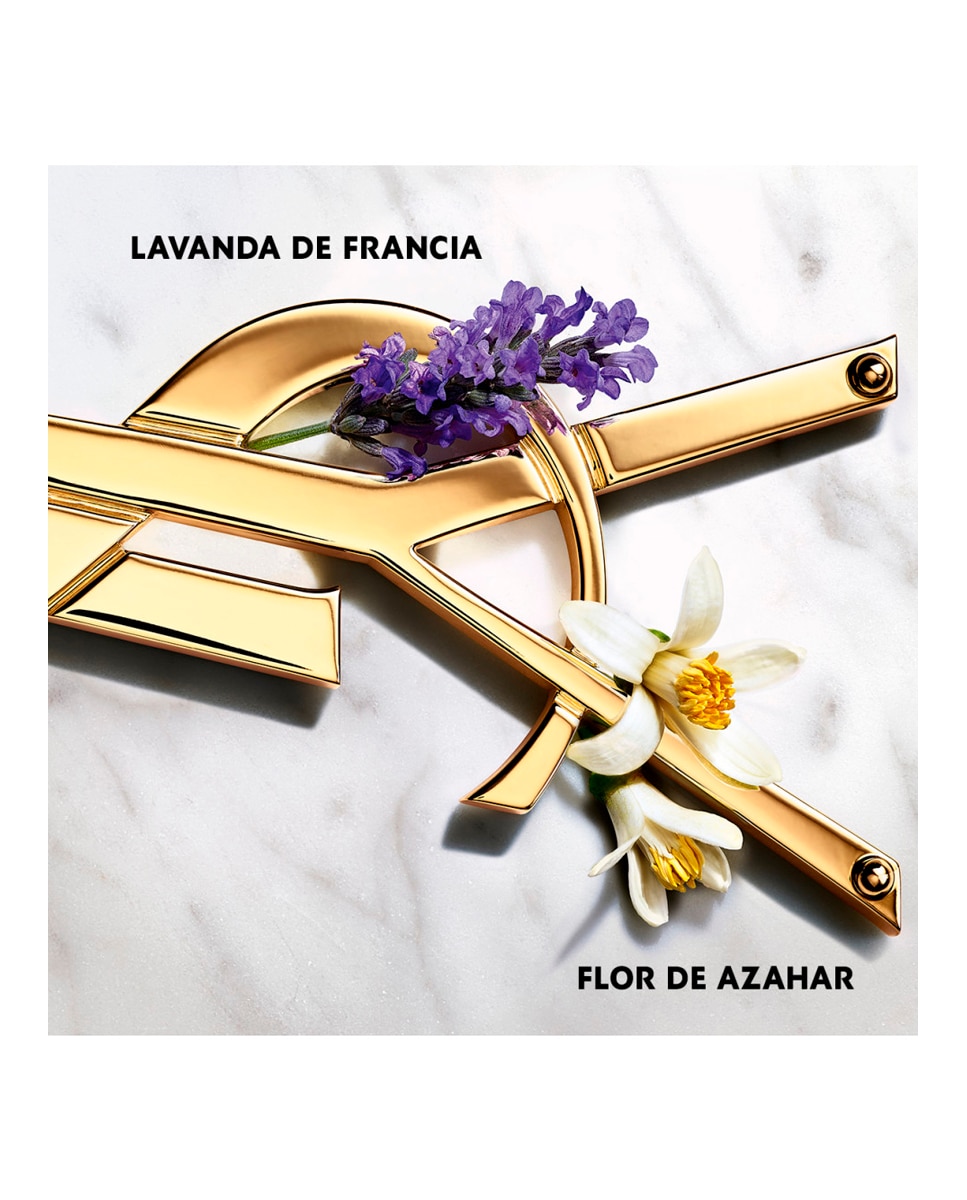 Recarga Eau de Parfum Libre Yves Saint Laurent - 100 ml 3