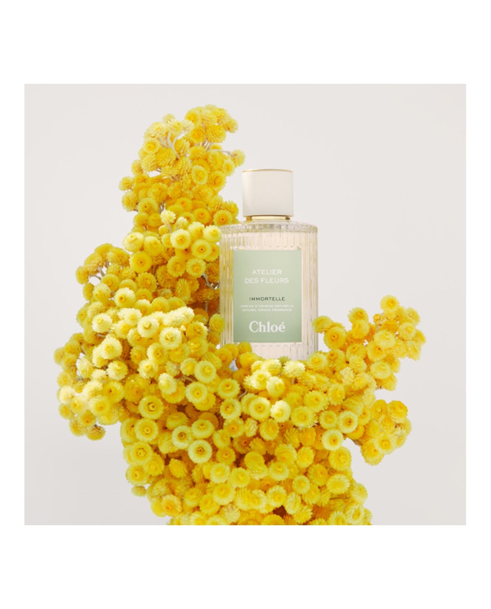 Chloé Atelier des Fleurs Immortelle Eau de Parfum Chloé Atelier des Fleurs Immortelle Chloé 50 ml · El