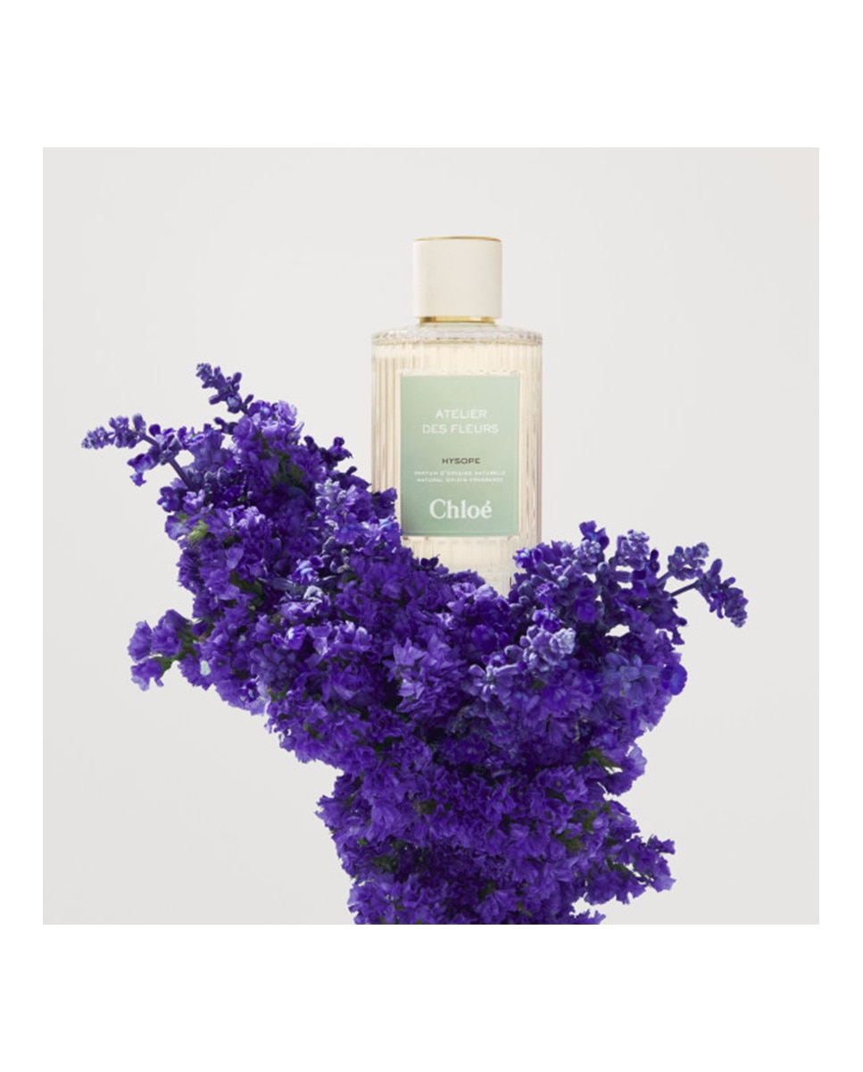 Eau de Parfum Chloé Atelier des Fleurs Immortelle Chloé - 50 ml 4