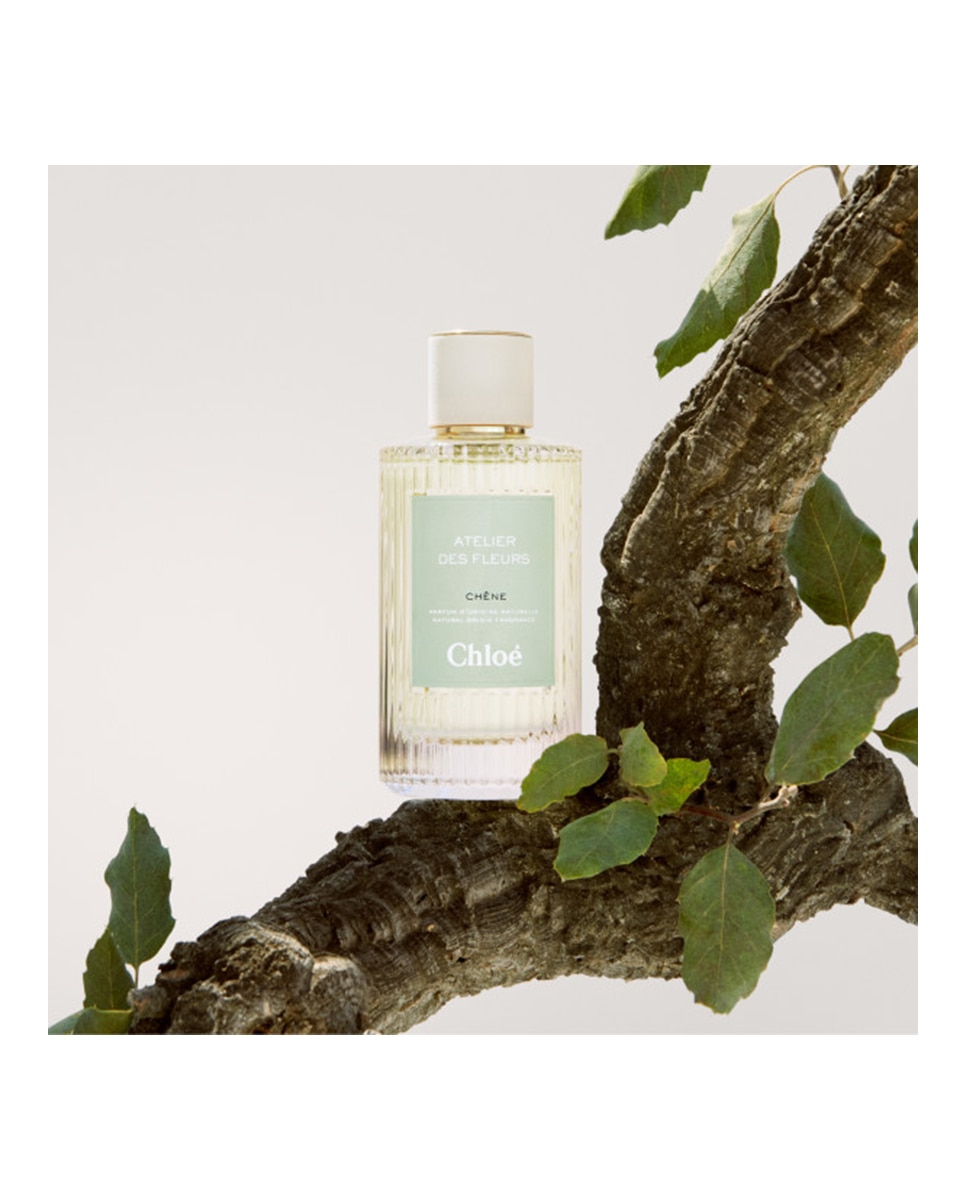 Eau de Parfum Chloé Atelier des Fleurs Immortelle Chloé - 50 ml 5