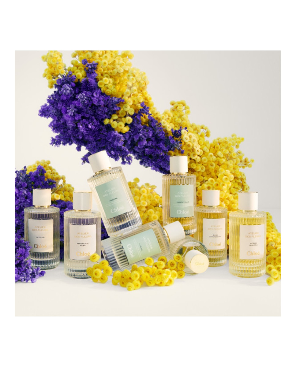 Eau de Parfum Chloé Atelier des Fleurs Immortelle Chloé 50 ml · El
