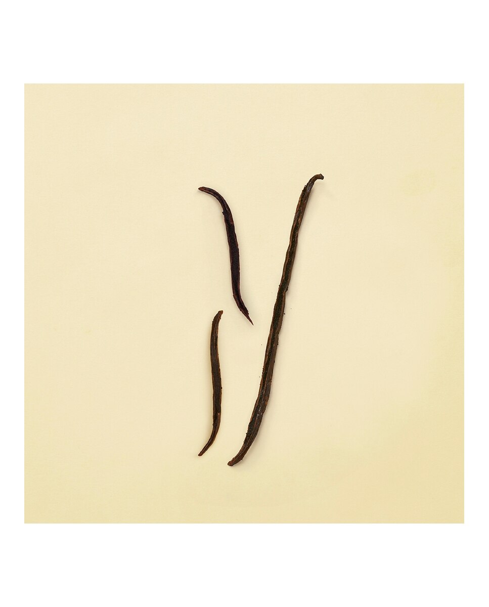 。グッチ　The eyes of the tiger 100ml 香水　① The Eyes Of The Tiger Eau de Parfum Gucci fragancia - una