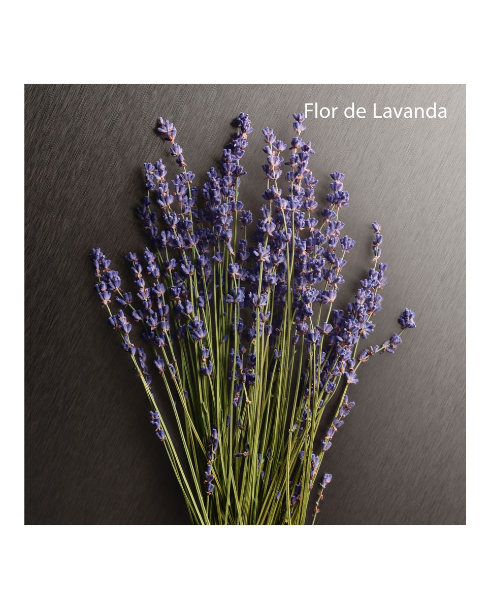 Thumbnail 5 de Calvin Klein Eternity Aromatic Essence perfume 100 ml